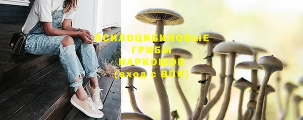 шишки Магадан