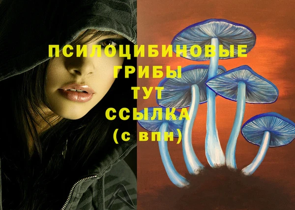 MESCALINE Медвежьегорск