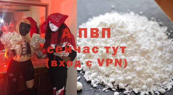 индика Магас
