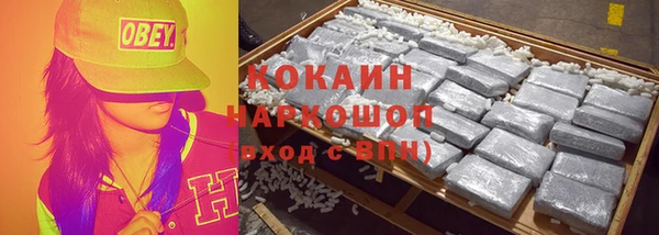 шишки Магадан