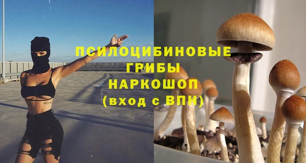 индика Магас
