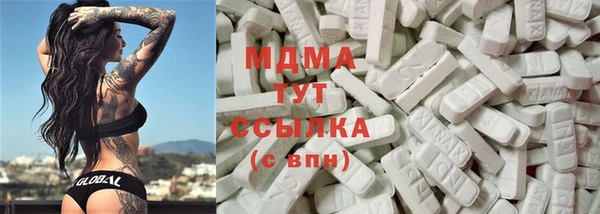 индика Магас