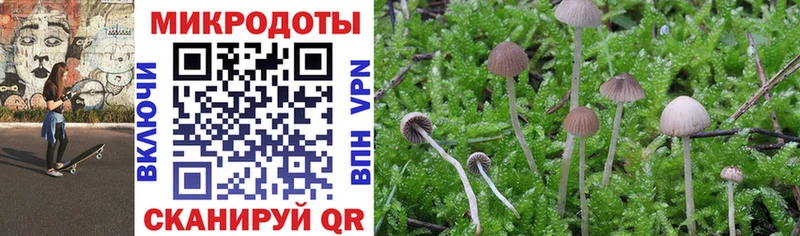 Псилоцибиновые грибы MAGIC MUSHROOMS ОМГ ОМГ зеркало Закаменск